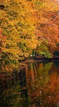 Ladda ner Trees, Boats, Autumn, Landscape, Rivers bilden till mobilen.