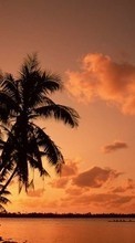 Ladda ner Landscape, Trees, Sunset, Sky, Sea, Palms bilden till mobilen.
