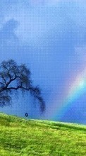 Ladda ner Landscape, Trees, Grass, Sky, Rainbow bilden till mobilen.