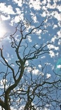 Landscape, Trees, Sky, Sun till HTC Incredible S