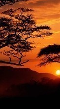 Ladda ner Landscape, Trees, Sunset, Sky, Sun bilden 540x960 till mobilen.