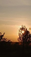 Ladda ner Landscape, Trees, Sunset, Sky, Sun bilden 540x960 till mobilen.
