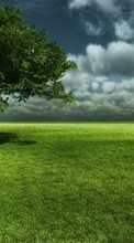 Ladda ner Landscape, Trees, Grass, Sky bilden 320x240 till mobilen.