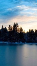 Ladda ner Landscape, Winter, Water, Trees, Sky bilden 240x400 till mobilen.