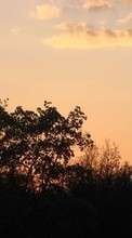 Ladda ner Landscape, Trees, Sunset, Sky bilden till mobilen.