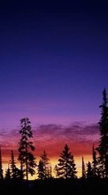 Ladda ner Landscape, Trees, Sunset, Sky bilden 320x480 till mobilen.