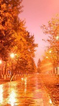 Ladda ner Trees, Night, Autumn, Landscape, Streets bilden till mobilen.