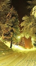 Ladda ner Trees, Night, Landscape, Snow, Winter bilden till mobilen.