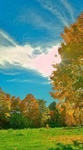 Ladda ner Trees, Clouds, Autumn, Landscape, Sun bilden till mobilen.