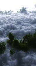Trees,Clouds,Landscape till Lenovo A390