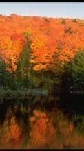 Ladda ner Landscape, Trees, Autumn, Lakes bilden 1080x1920 till mobilen.