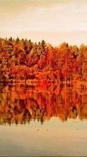 Ladda ner Landscape, Water, Trees, Autumn, Lakes bilden 800x480 till mobilen.