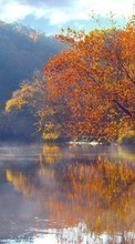 Ladda ner Landscape, Water, Trees, Autumn, Lakes bilden till mobilen.