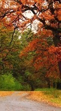 Ladda ner Trees,Autumn,Parks,Landscape,Nature bilden till mobilen.