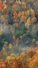 Trees,Autumn,Landscape till Samsung Galaxy Note