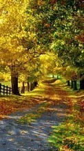 Trees,Autumn,Landscape till Sony Ericsson F305