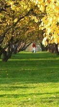 Ladda ner Landscape, Trees, Autumn bilden 320x240 till mobilen.