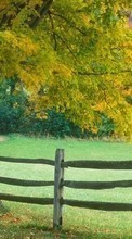 Ladda ner Landscape, Trees, Autumn bilden 240x400 till mobilen.