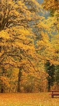 Ladda ner Landscape, Trees, Autumn bilden till mobilen.