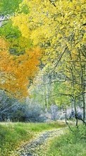 Ladda ner Landscape, Trees, Autumn bilden 320x480 till mobilen.