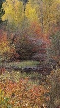 Ladda ner Landscape, Trees, Autumn bilden 128x160 till mobilen.