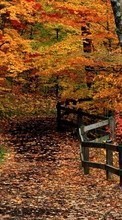 Landscape, Trees, Autumn till Samsung Galaxy Core Advance