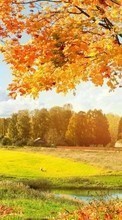 Ladda ner Trees, Autumn, Landscape, Fields bilden till mobilen.