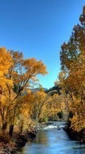Ladda ner Landscape, Rivers, Trees, Autumn bilden 320x240 till mobilen.