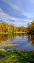 Trees, Autumn, Landscape, Rivers till HTC Desire 510