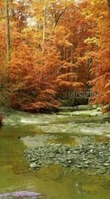 Ladda ner Landscape, Rivers, Trees, Autumn bilden till mobilen.