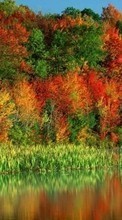 Ladda ner Landscape, Rivers, Trees, Autumn bilden 128x160 till mobilen.