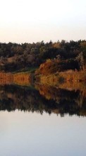 Ladda ner Landscape, Water, Rivers, Trees, Autumn bilden 240x400 till mobilen.