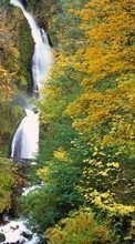 Ladda ner Landscape, Trees, Autumn, Waterfalls bilden 540x960 till mobilen.