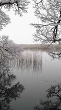 Ladda ner Landscape, Winter, Water, Trees, Lakes bilden 240x320 till mobilen.