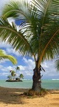 Ladda ner Landscape, Trees, Beach, Palms bilden 800x480 till mobilen.