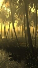Ladda ner Landscape, Trees, Sun, Palms bilden 240x400 till mobilen.