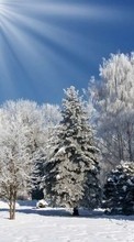 Ladda ner Trees,Landscape,Nature,Snow,Winter bilden till mobilen.