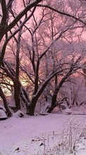 Ladda ner Landscape, Winter, Trees, Snow, Dawn bilden 1280x800 till mobilen.
