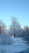 Ladda ner Landscape, Winter, Rivers, Trees, Snow bilden till mobilen.