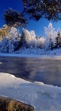 Ladda ner Landscape, Winter, Rivers, Trees, Snow bilden 1280x800 till mobilen.