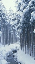Trees, Landscape, Rivers, Snow, Winter till Motorola Milestone XT720