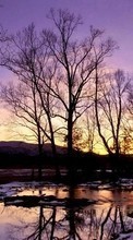 Ladda ner Landscape, Winter, Water, Rivers, Trees, Sunset bilden 240x320 till mobilen.