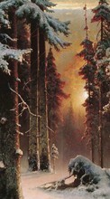 Ladda ner Trees, Landscape, Pictures, Snow, Sunset, Winter bilden till mobilen.