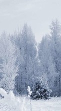 Trees, Landscape, Snow till Asus Zenfone 4 A450CG