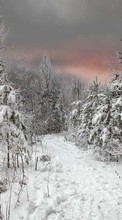 Ladda ner Trees,Landscape,Snow bilden till mobilen.