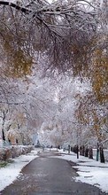 Trees, Landscape, Snow, Streets till Asus Fonepad 7