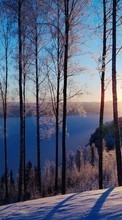 Ladda ner Landscape, Winter, Trees, Sunset, Snow bilden 320x480 till mobilen.