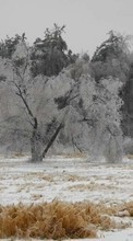 Ladda ner Landscape, Winter, Trees, Snow bilden 360x640 till mobilen.