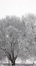 Landscape, Winter, Trees, Snow till HTC Sensation