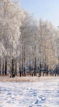 Ladda ner Landscape, Winter, Trees, Snow bilden 800x480 till mobilen.